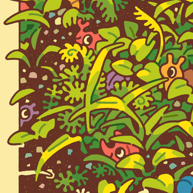 bugs in the grass bugs in the grass